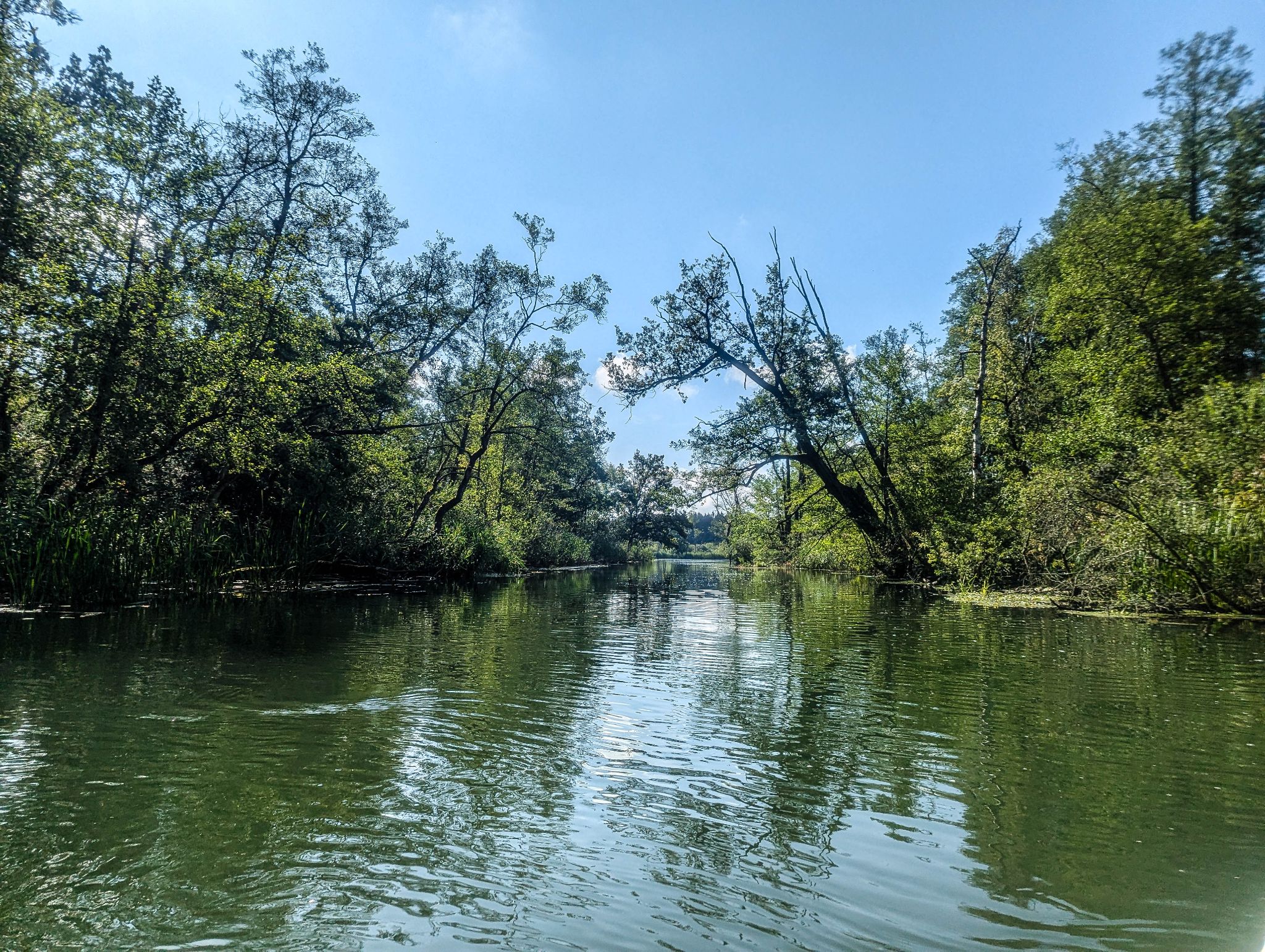 Kajaktour Leutstettner Moos 15.08.2024